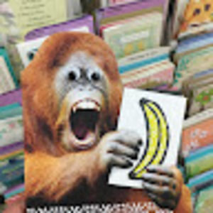 Meet your Posher, Josh